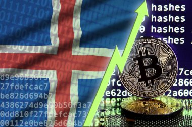 İzlanda bayrağı ve bitcoin araştırma ekran ve iki fiziksel altın bitcoins yükselen Yeşil ok