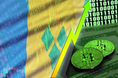 Saint Vincent ve Grenadinler bayrak ve eğilim iki bitcoins dolar faturaları ve ikili kod görüntü ile büyüyen cryptocurrency