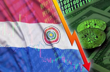 Paraguay bayrak ve eğilim iki bitcoins ile düşen dolar faturaları ve ikili kod görüntü cryptocurrency