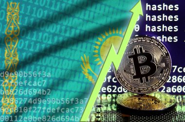 Kazakistan bayrağı ve bitcoin araştırma ekran ve iki fiziksel altın bitcoins yükselen Yeşil ok
