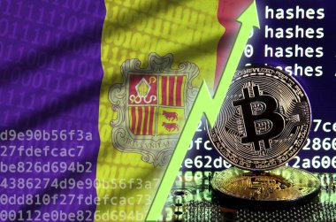 Andorra bayrağı ve bitcoin araştırma ekran ve iki fiziksel altın bitcoins yükselen Yeşil ok