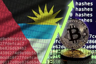 Antigua ve Barbuda bayrağı ve bitcoin araştırma ekran ve iki fiziksel altın bitcoins yükselen Yeşil ok