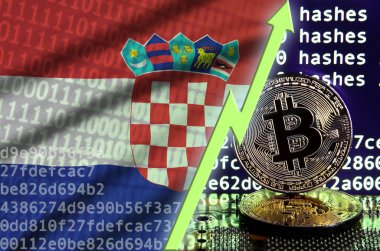 Hırvatistan bayrağı ve bitcoin araştırma ekran ve iki fiziksel altın bitcoins yükselen Yeşil ok