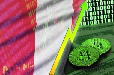 Peru bayrağı ve eğilim iki bitcoins dolar faturaları ve ikili kod görüntü ile büyüyen cryptocurrency