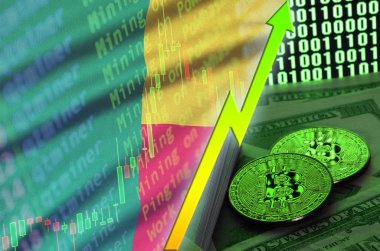 Benin bayrağı ve eğilim iki bitcoins dolar faturaları ve ikili kod görüntü ile büyüyen cryptocurrency