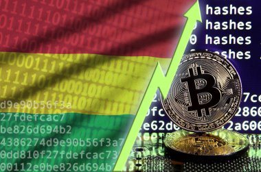 Bolivya bayrak ve bitcoin araştırma ekran ve iki fiziksel altın bitcoins yükselen Yeşil ok