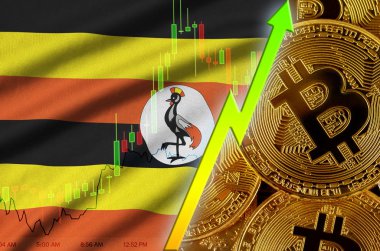 Uganda bayrağı ve eğilim birçok altın bitcoins ile büyüyen cryptocurrency