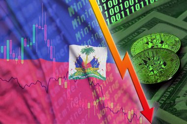 Haiti bayrak ve eğilim iki bitcoins ile düşen dolar faturaları ve ikili kod görüntü cryptocurrency