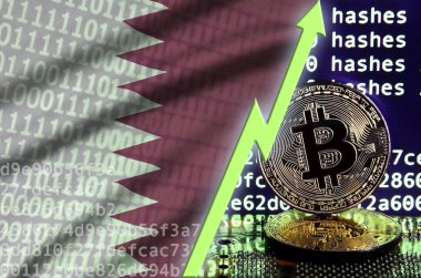 Katar bayrak ve bitcoin araştırma ekran ve iki fiziksel altın bitcoins yükselen Yeşil ok