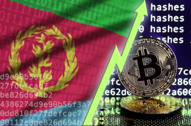Eritre bayrak ve bitcoin araştırma ekran ve iki fiziksel altın bitcoins yükselen Yeşil ok