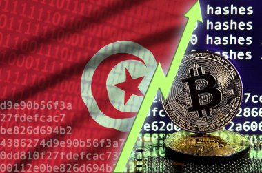 Tunus bayrağı ve bitcoin araştırma ekran ve iki fiziksel altın bitcoins yükselen Yeşil ok