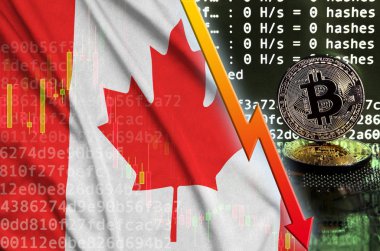 Kanada bayrağı ve bitcoin araştırma ekran ve iki fiziksel altın bitcoins düşen kırmızı ok