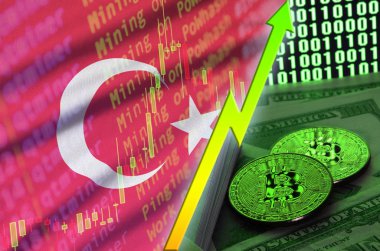 Türkiye'nin bayrak ve eğilim iki bitcoins dolar faturaları ve ikili kod görüntü ile büyüyen cryptocurrency
