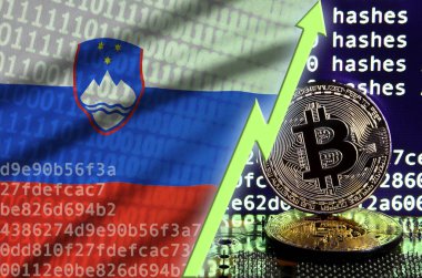 Slovenya bayrağı ve bitcoin araştırma ekran ve iki fiziksel altın bitcoins yükselen Yeşil ok