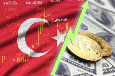 Türkiye'nin bayrak ve eğilim ile iki bitcoins dolar faturaları üzerinde büyüyen cryptocurrency