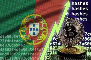Portekiz bayrağı ve bitcoin araştırma ekran ve iki fiziksel altın bitcoins yükselen Yeşil ok
