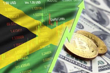 Jamaika bayrağını ve eğilim ile iki bitcoins dolar faturaları üzerinde büyüyen cryptocurrency