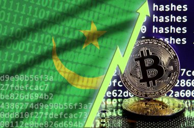 Moritanya bayrak ve bitcoin araştırma ekran ve iki fiziksel altın bitcoins yükselen Yeşil ok
