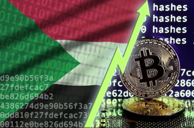 Sudan bayrağı ve bitcoin araştırma ekran ve iki fiziksel altın bitcoins yükselen Yeşil ok