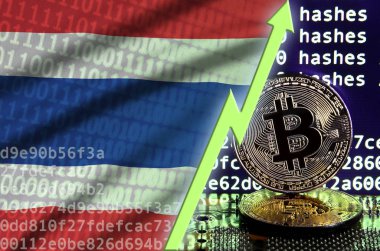 Tayland bayrağı ve bitcoin araştırma ekran ve iki fiziksel altın bitcoins yükselen Yeşil ok