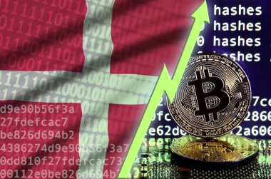 Danimarka bayrağı ve bitcoin araştırma ekran ve iki fiziksel altın bitcoins yükselen Yeşil ok