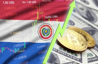 Paraguay bayrak ve eğilim ile iki bitcoins dolar faturaları üzerinde büyüyen cryptocurrency