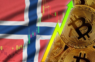 Norway flag and cryptocurrency growing trend with many golden bitcoins clipart