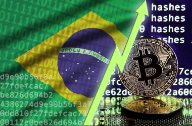 Brezilya bayrağı ve bitcoin araştırma ekran ve iki fiziksel altın bitcoins yükselen Yeşil ok