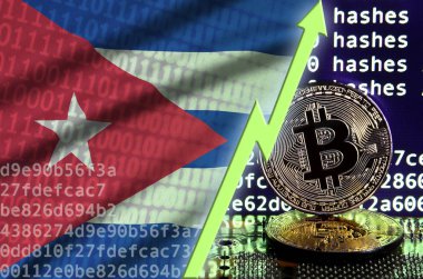 Küba bayrağı ve bitcoin araştırma ekran ve iki fiziksel altın bitcoins yükselen Yeşil ok