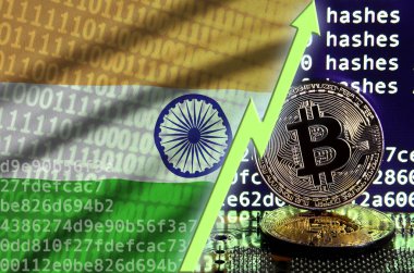 Hindistan bayrağı ve bitcoin araştırma ekran ve iki fiziksel altın bitcoins yükselen Yeşil ok