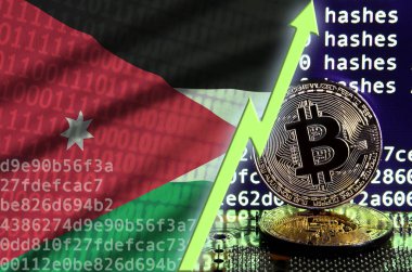 Jordan bayrak ve bitcoin araştırma ekran ve iki fiziksel altın bitcoins yükselen Yeşil ok