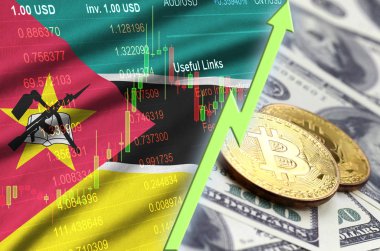Mozambik bayrak ve eğilim ile iki bitcoins dolar faturaları üzerinde büyüyen cryptocurrency