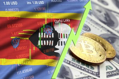 Svaziland bayrak ve eğilim ile iki bitcoins dolar faturaları üzerinde büyüyen cryptocurrency
