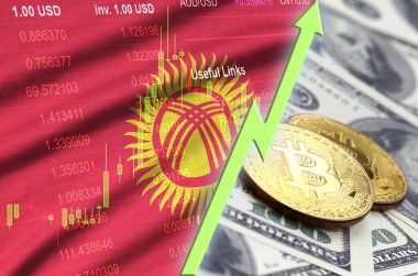 Kırgızistan bayrağı ve eğilim ile iki bitcoins dolar faturaları üzerinde büyüyen cryptocurrency