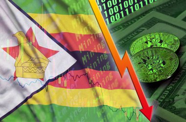 Zimbabve bayrağı ve eğilim iki bitcoins ile düşen dolar faturaları ve ikili kod görüntü cryptocurrency