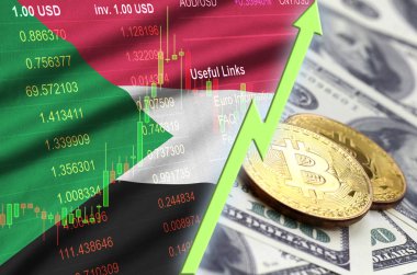 Sudan bayrağı ve eğilim ile iki bitcoins dolar faturaları üzerinde büyüyen cryptocurrency