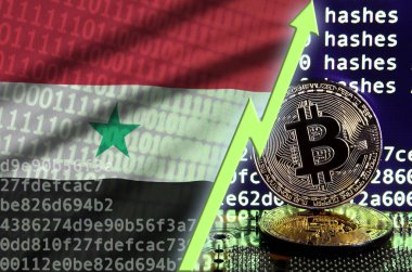 Suriye bayrağı ve bitcoin araştırma ekran ve iki fiziksel altın bitcoins yükselen Yeşil ok