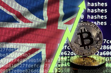Büyük Britanya bayrağı ve bitcoin araştırma ekran ve iki fiziksel altın bitcoins yükselen Yeşil ok