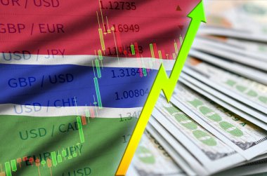 Gambiya bayrak ve bize para bir yelpaze ile dolar pozisyon büyüyen grafik