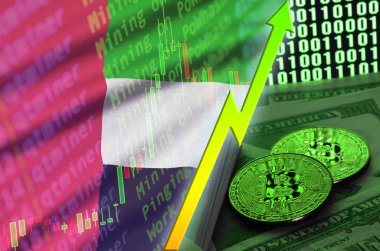 Birleşik Arap Emirlikleri bayrağı ve eğilim iki bitcoins dolar faturaları ve ikili kod görüntü ile büyüyen cryptocurrency