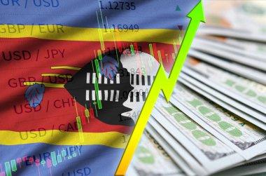 Svaziland bayrak ve bize para bir yelpaze ile dolar pozisyon büyüyen grafik