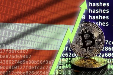Avusturya bayrağı ve bitcoin araştırma ekran ve iki fiziksel altın bitcoins yükselen Yeşil ok