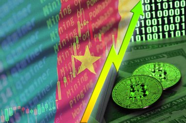 Kamerun bayrağı ve eğilim iki bitcoins dolar faturaları ve ikili kod görüntü ile büyüyen cryptocurrency