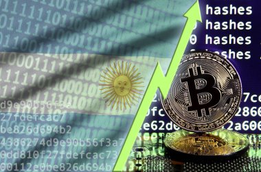 Arjantin bayrağı ve bitcoin araştırma ekran ve iki fiziksel altın bitcoins yükselen Yeşil ok