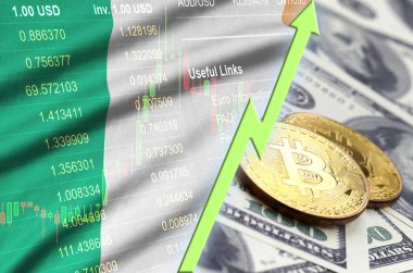İrlanda bayrağı ve eğilim ile iki bitcoins dolar faturaları üzerinde büyüyen cryptocurrency