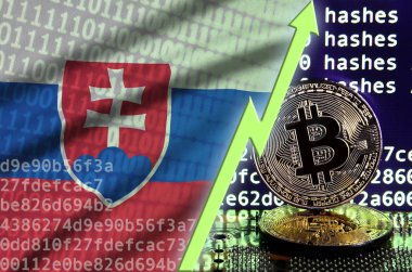 Slovakya bayrağı ve bitcoin araştırma ekran ve iki fiziksel altın bitcoins yükselen Yeşil ok