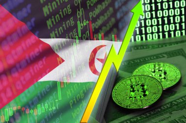 Batı Sahra bayrak ve eğilim iki bitcoins dolar faturaları ve ikili kod görüntü ile büyüyen cryptocurrency