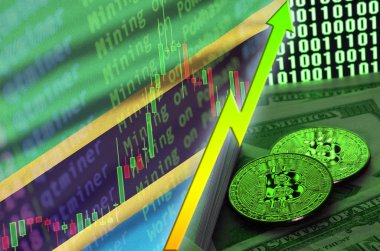Tanzanya bayrak ve eğilim iki bitcoins dolar faturaları ve ikili kod görüntü ile büyüyen cryptocurrency