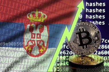Sırbistan bayrağı ve bitcoin araştırma ekran ve iki fiziksel altın bitcoins yükselen Yeşil ok