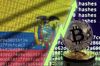 Ekvador bayrak ve bitcoin araştırma ekran ve iki fiziksel altın bitcoins yükselen Yeşil ok